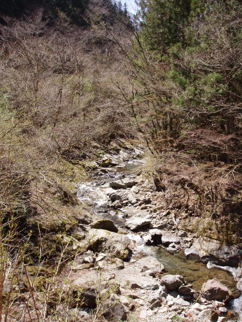 鏑川上流釣行 風来のくまさん